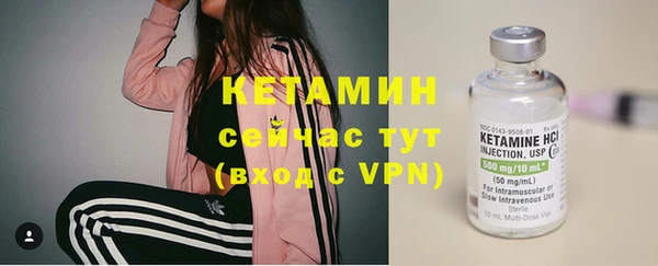 ALPHA PVP Няндома