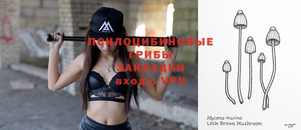 ALPHA PVP Няндома