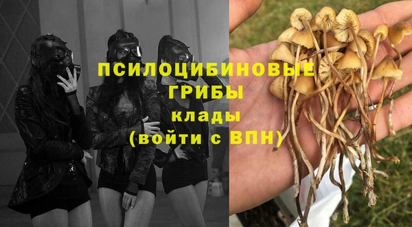 мяу мяу кристалл Новодвинск