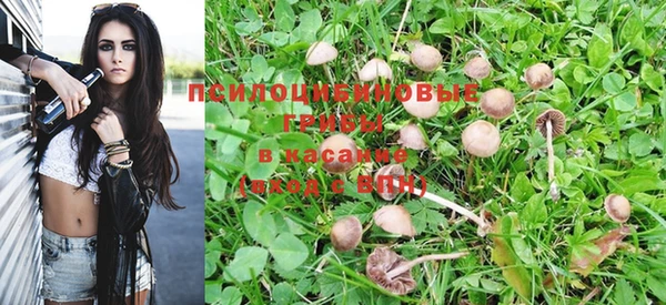 ALPHA PVP Няндома