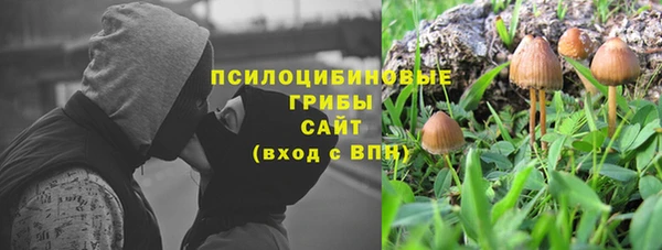 винт Нягань