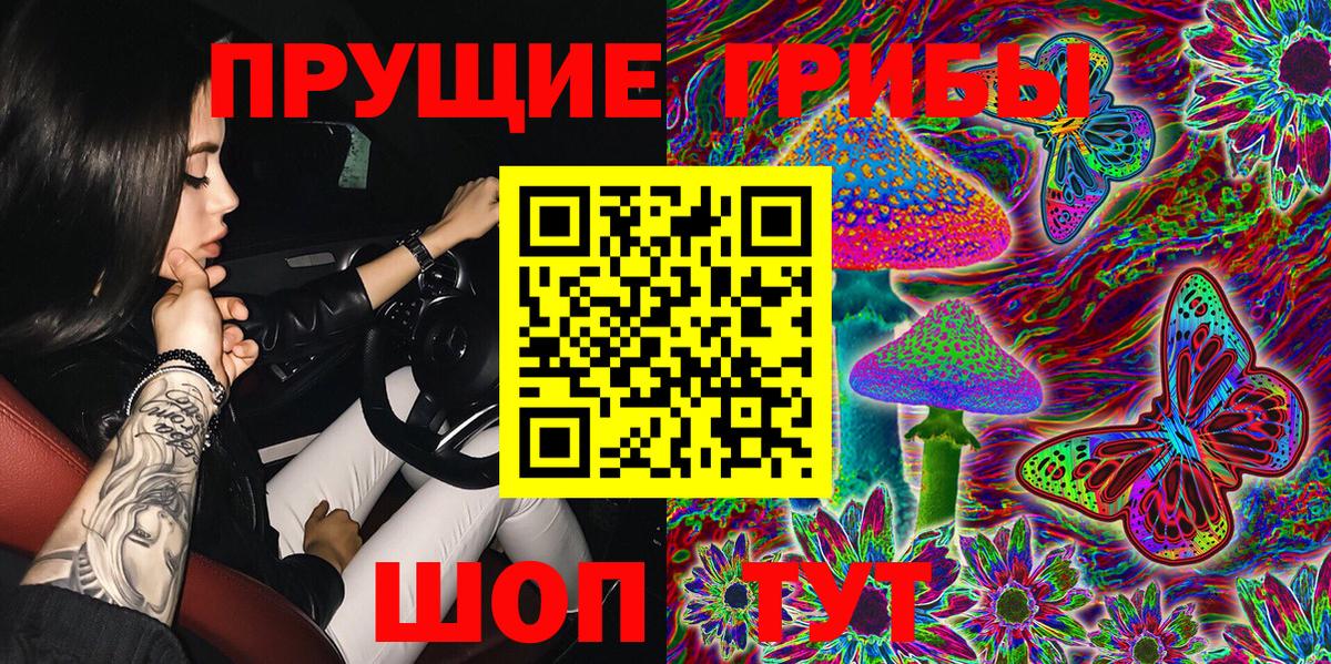 Галлюциногенные грибы Cubensis  Вход с VPN  Ставрополь 
